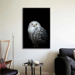 Tableau Hibou Blanc sur Fond Noir
