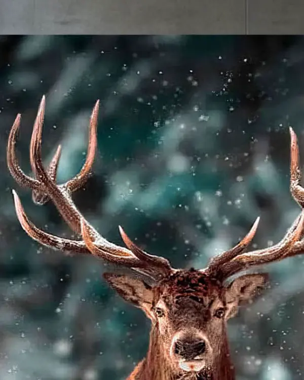 Tableau tête de cerf en forêt