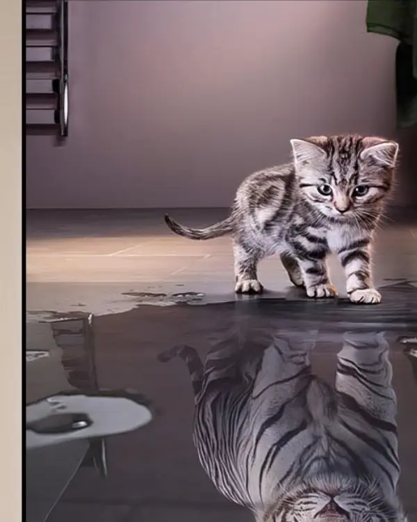 Tableau chaton au reflet de tigre