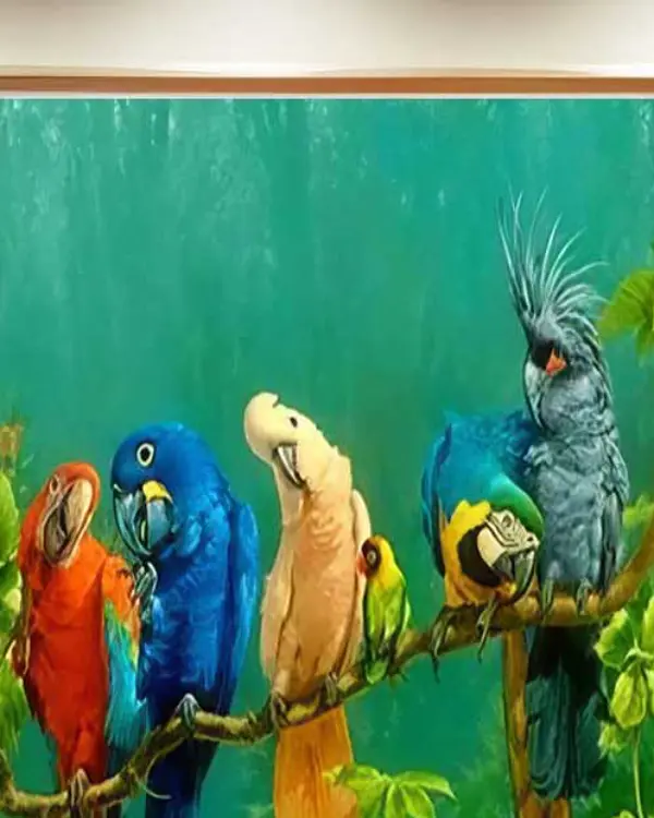 Tableau perroquets multicolores