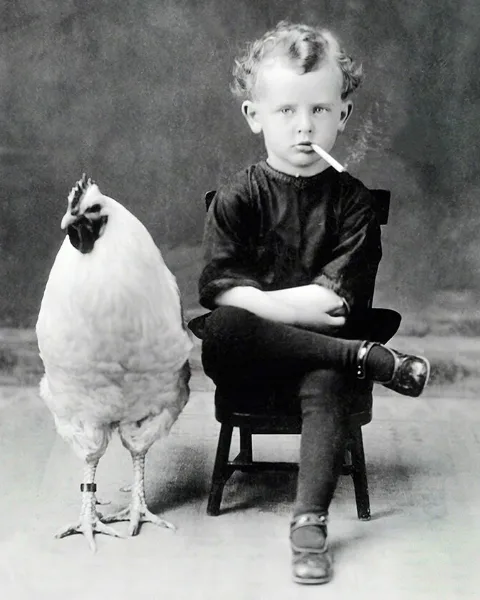 Tableaux Animaux de la Ferme