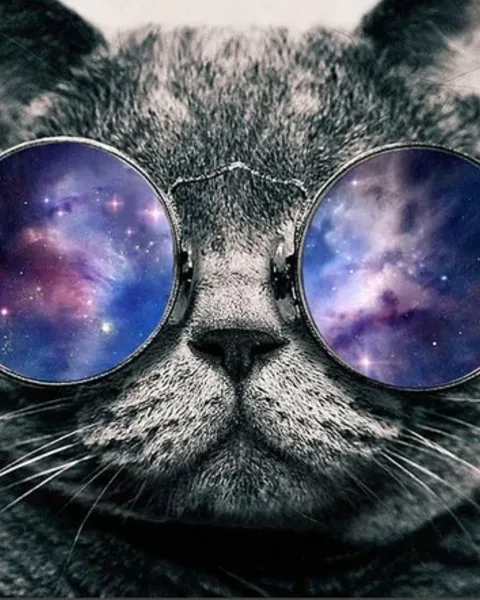 Tableaux et Toiles Chats